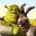 Shrek