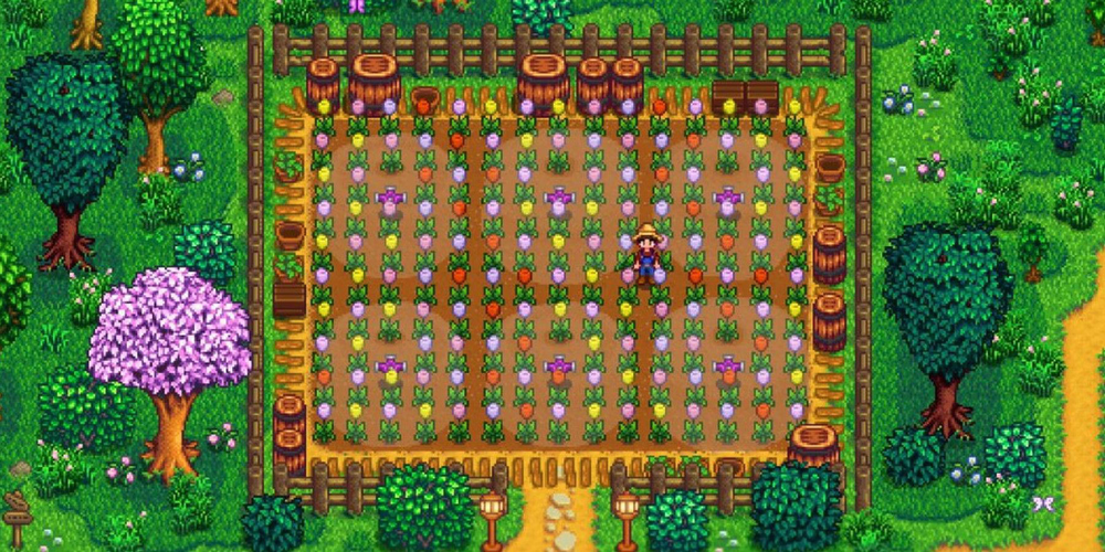 Flowers farm in the game